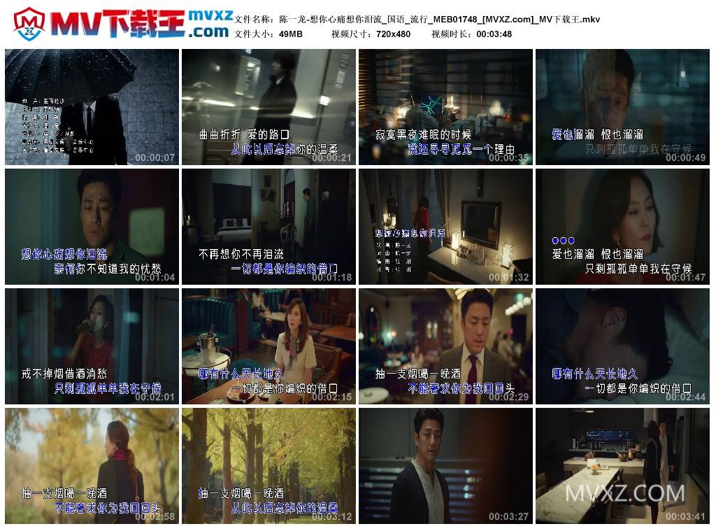 陈一龙-想你心痛想你泪流_国语_流行_MEB01748